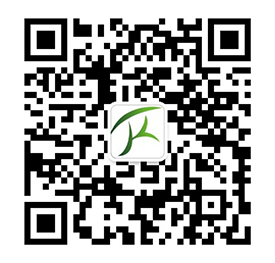 bob官方网站登录入口